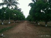 Farm land for sale at affordable price in Dharwad